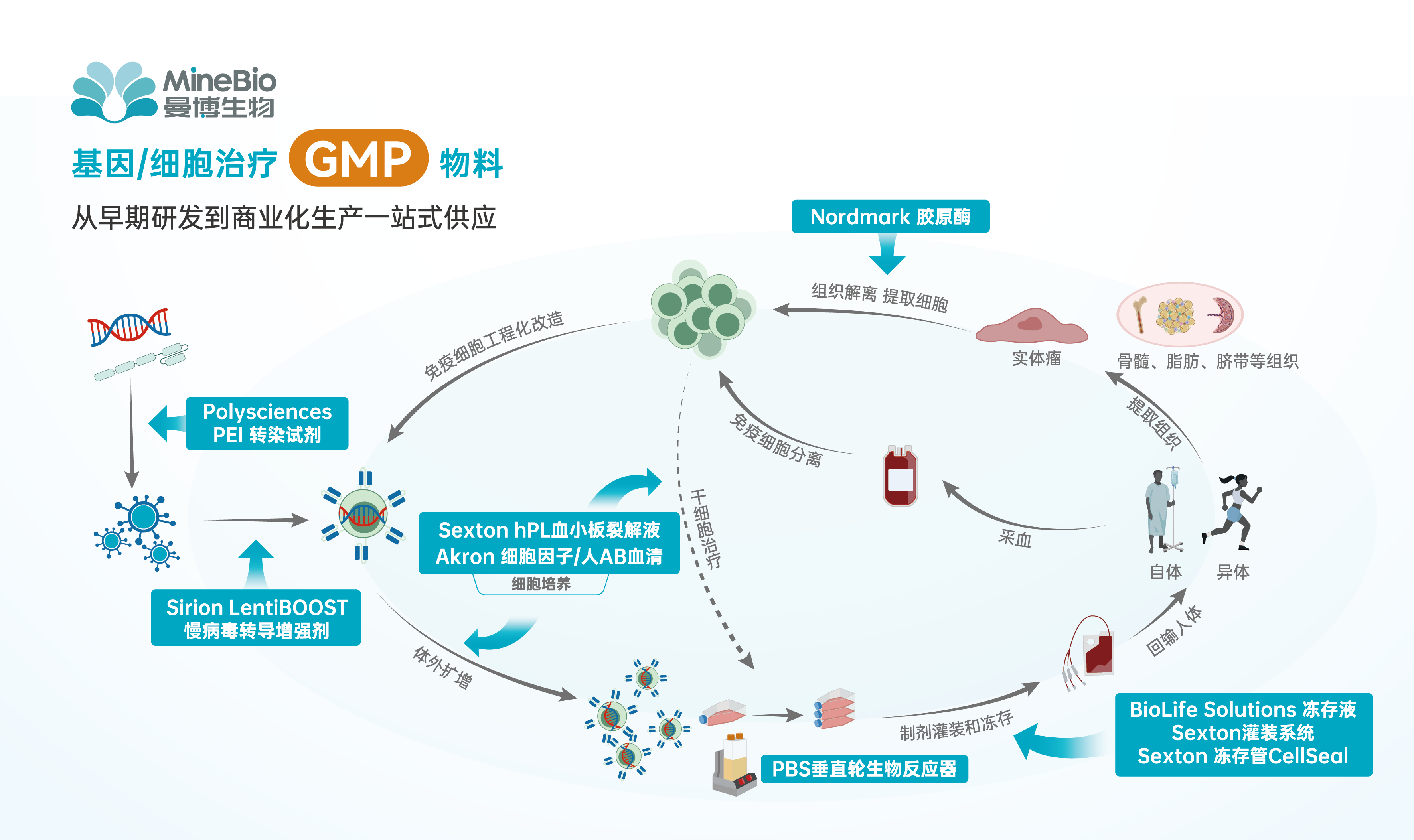 曼博生物-流程图.png